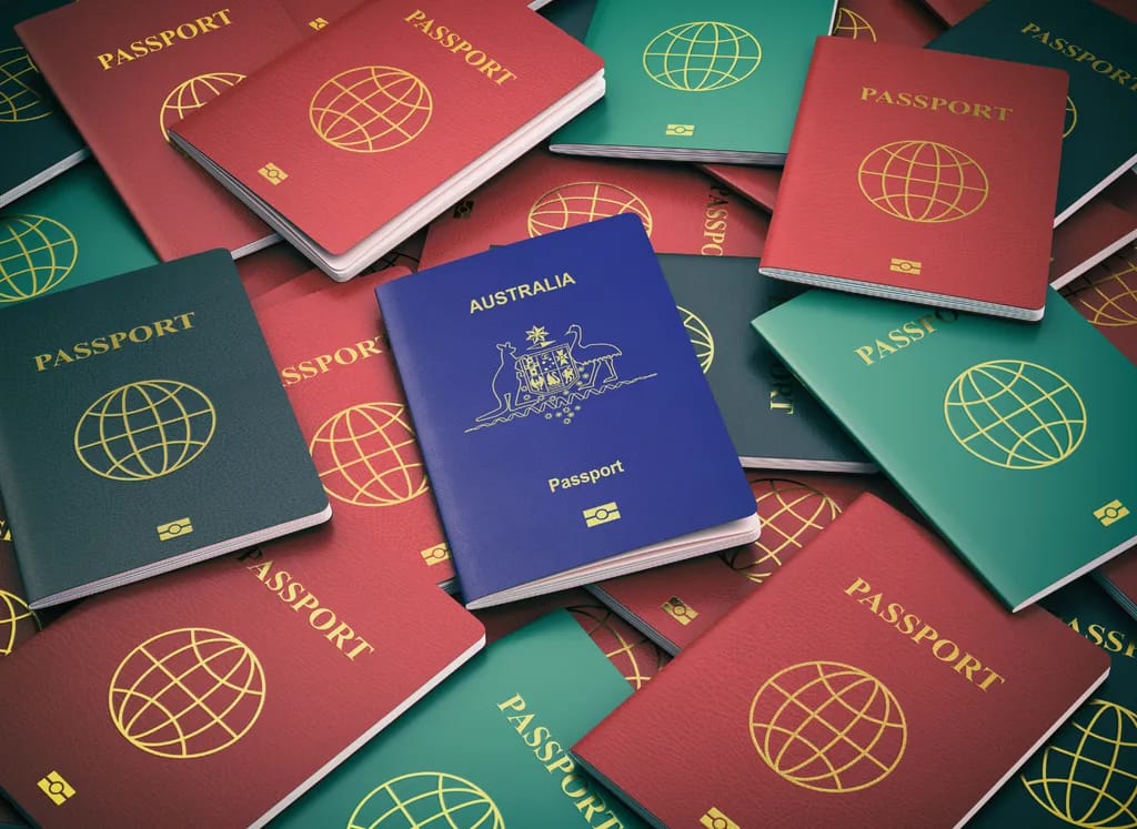 🛂 Immigration Services -